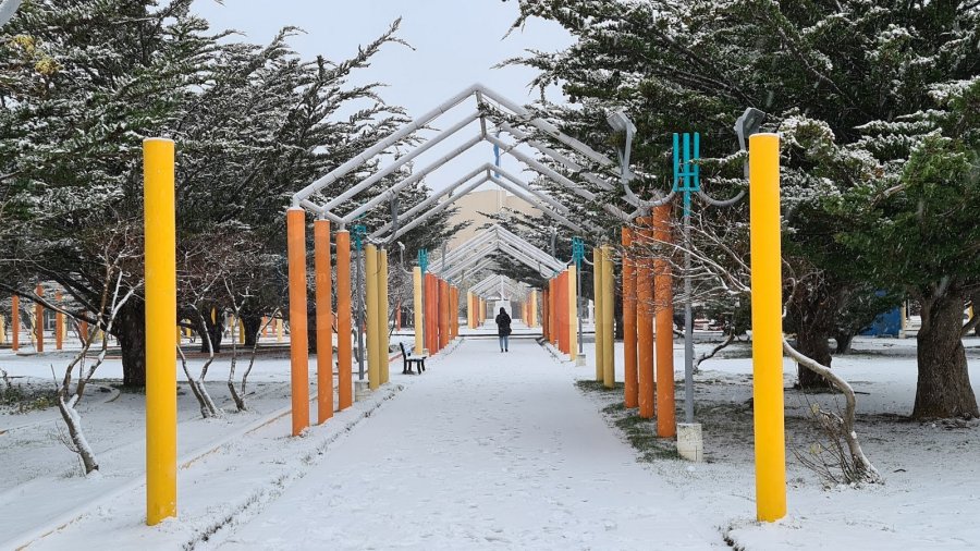 Alerta amarilla por vientos y nevadas