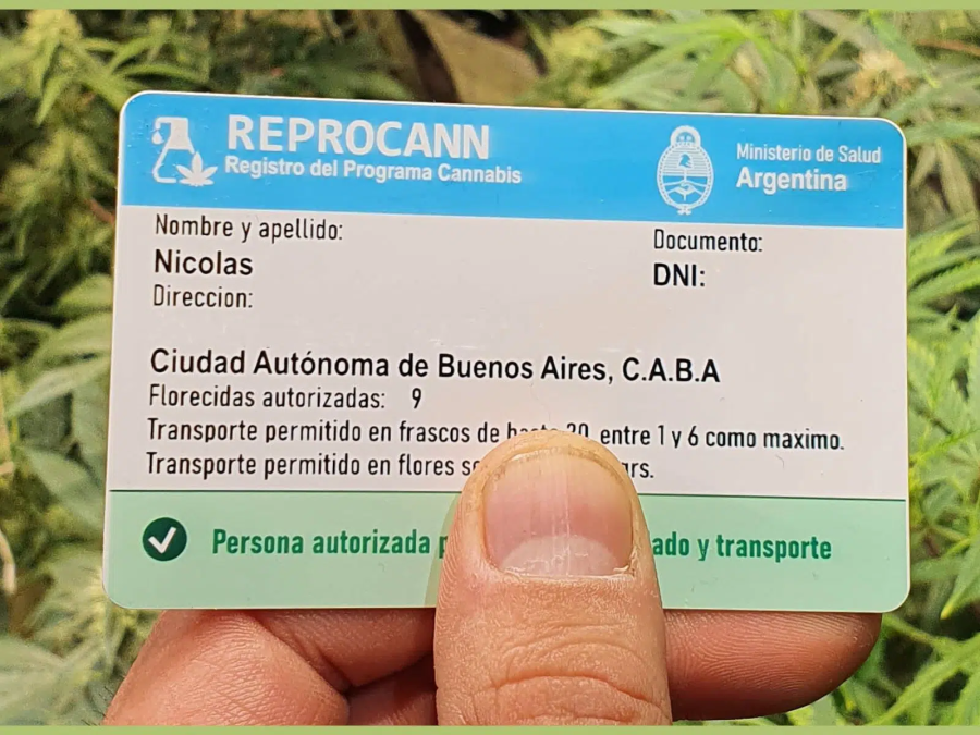 Preocupación en Tierra del Fuego por la posible eliminación del REPROCAN y la falta de reglamentación de la Ley Provincial de Cannabis Medicinal