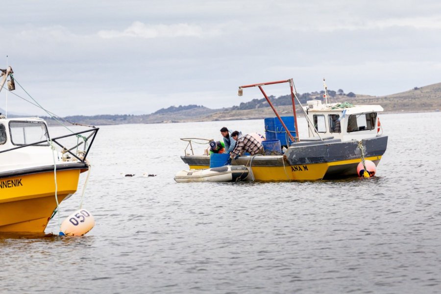 Recomendaciones para la compra de productos de mar a pescadores artesanales