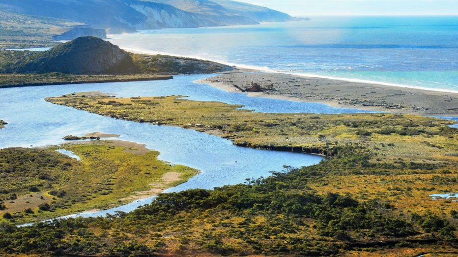 Península Mitre fue declarada sitio Ramsar: un reconocimiento clave para la conservación ambiental